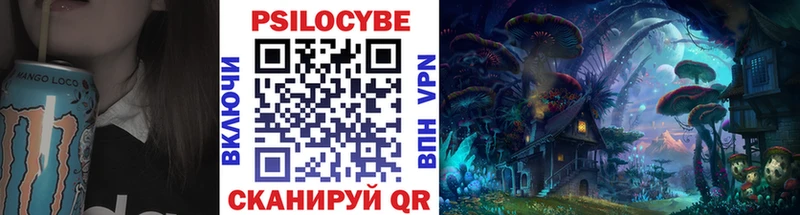 kraken онион  Раменское  Псилоцибиновые грибы Cubensis  магазин  наркотиков 